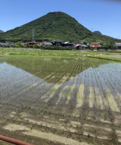 和風月名