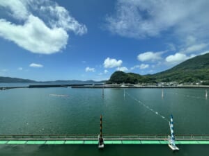 夏本番!回らない季節がやってくる!!
