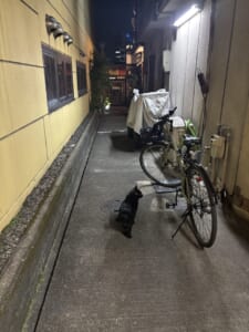 当面の間は、自転車禁止