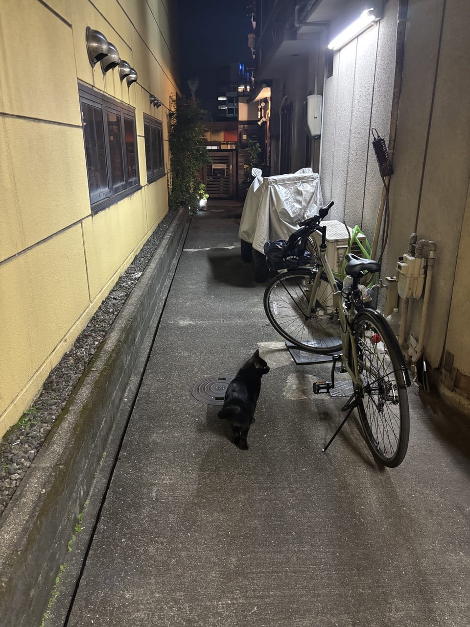 当面の間は、自転車禁止