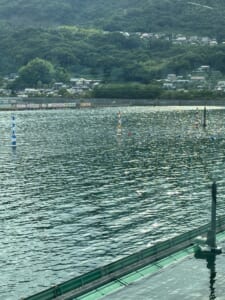 ４日目を終えて