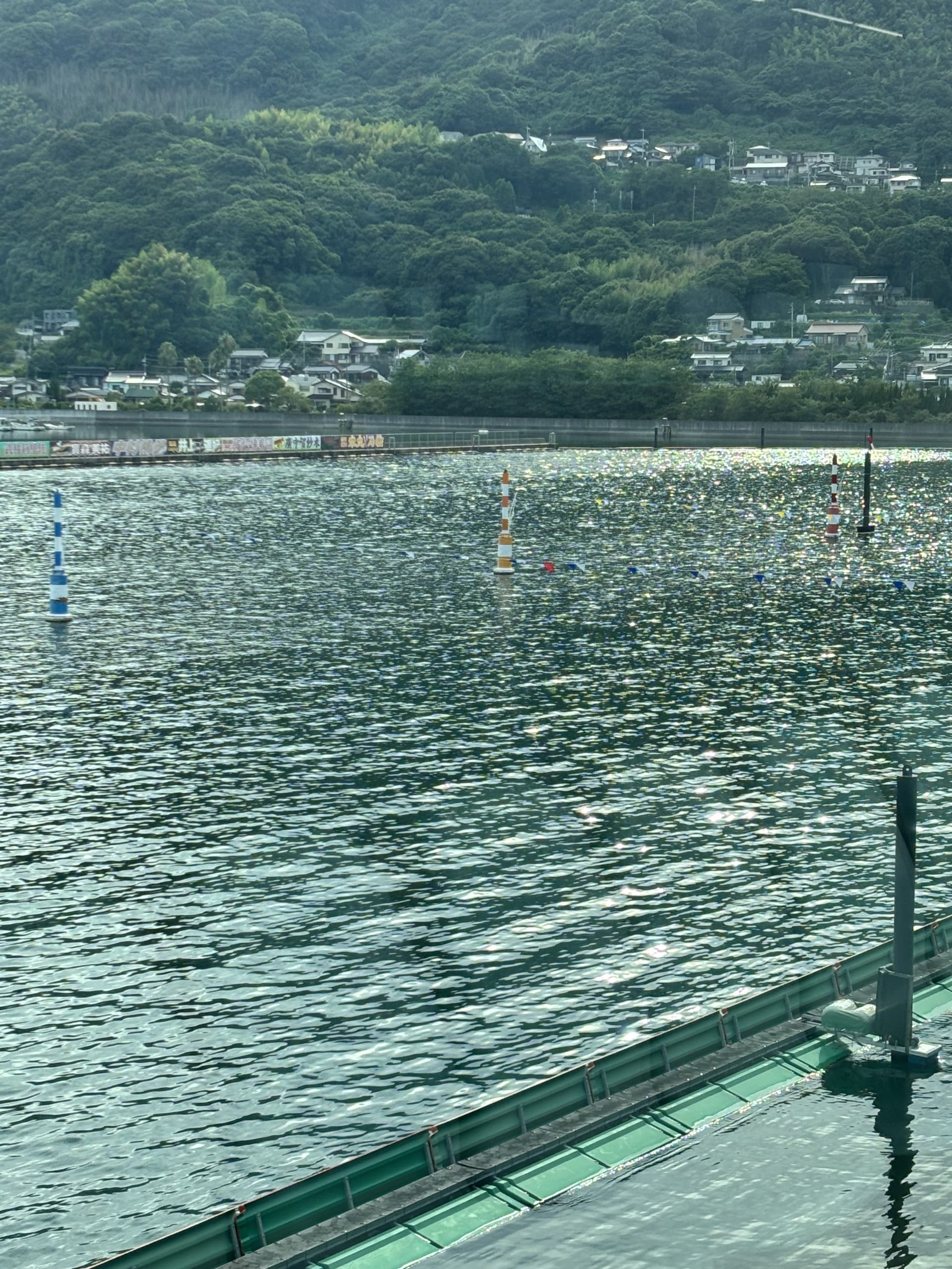 4日目を終えて