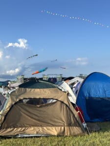 暑さがぶり返してきている