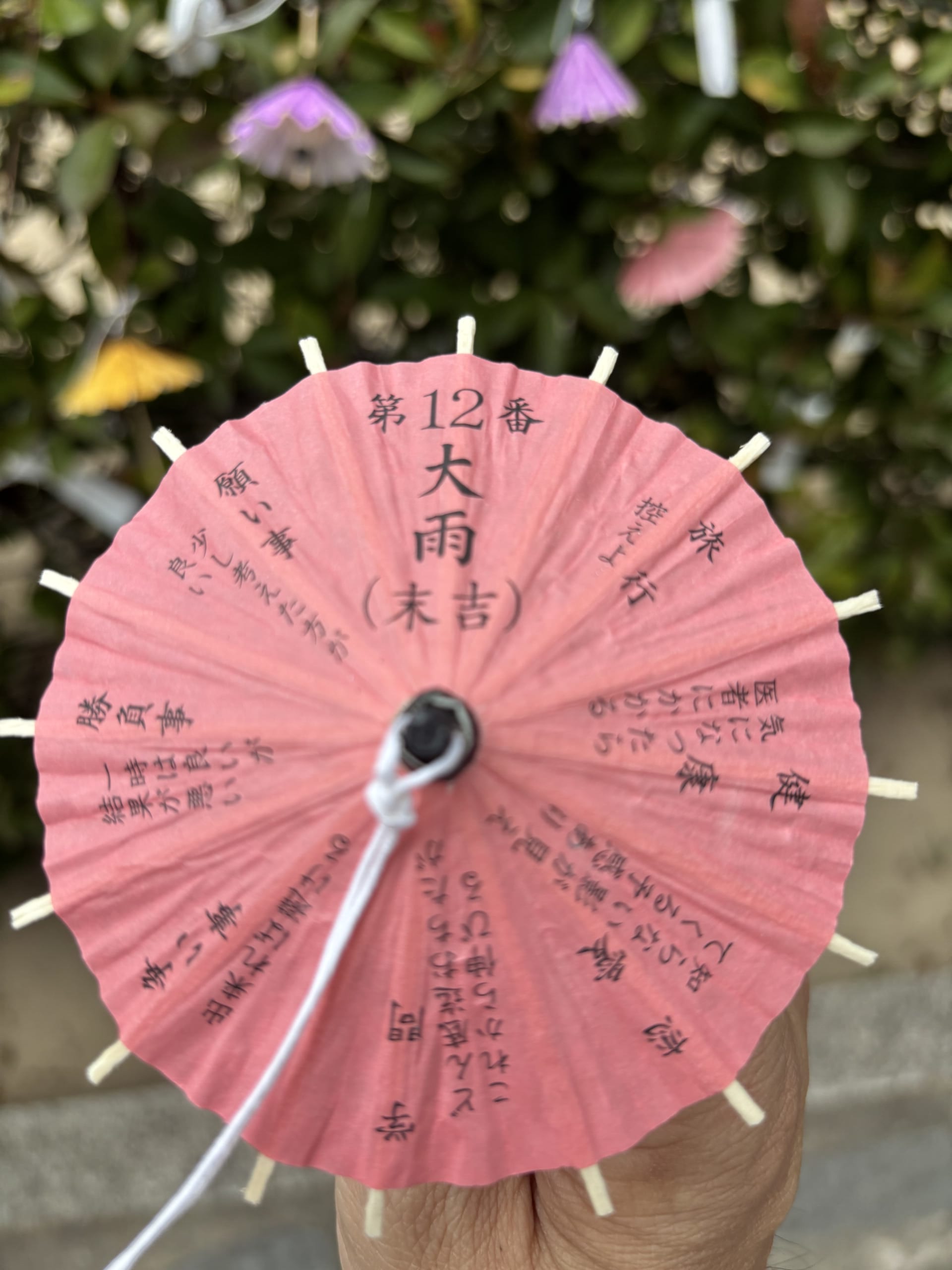 たまに降る雨は静かな雨がいい