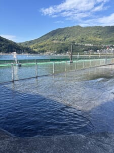 大潮から中潮へ